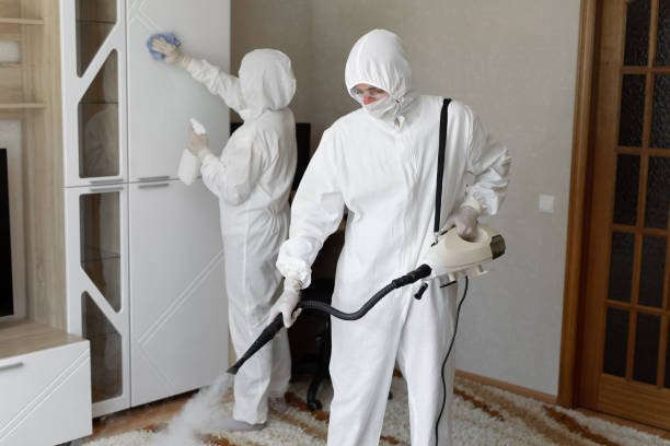 24/7 Emergency Odor Removal experts in Savannah, GA