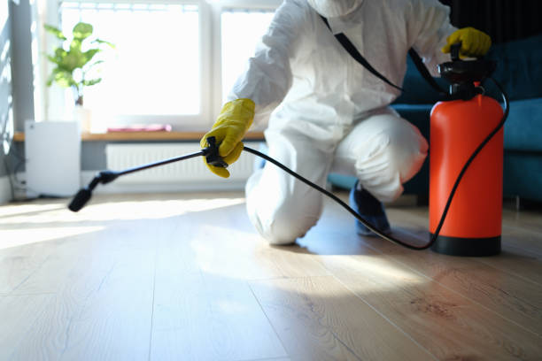 Reliable Odor Removal contractor in Savannah, GA by Trauma Clean Pros